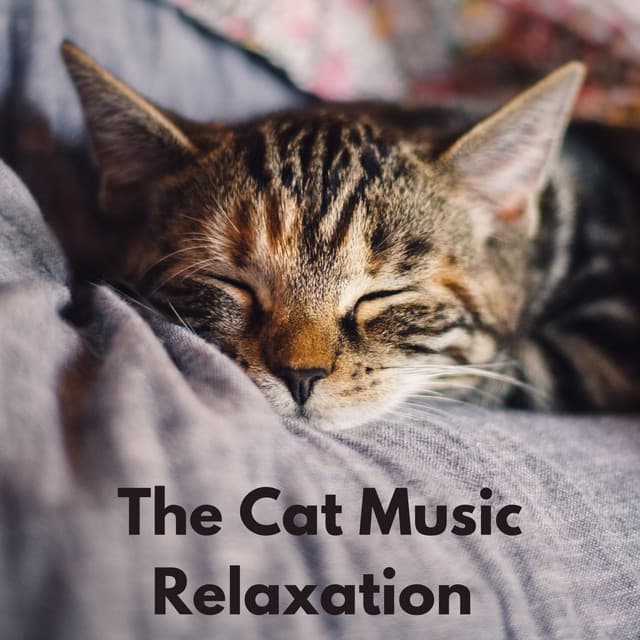 The Cat Music Relaxation - The Cat Relaxer