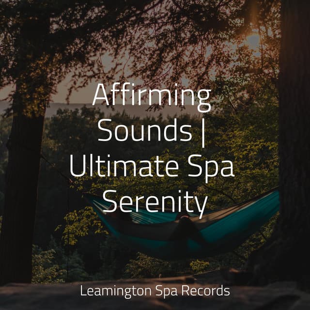 Affirming Sounds | Ultimate Spa Serenity - Binaural Beats Brain Waves Isochronic Tones Brain Wave Entertainment