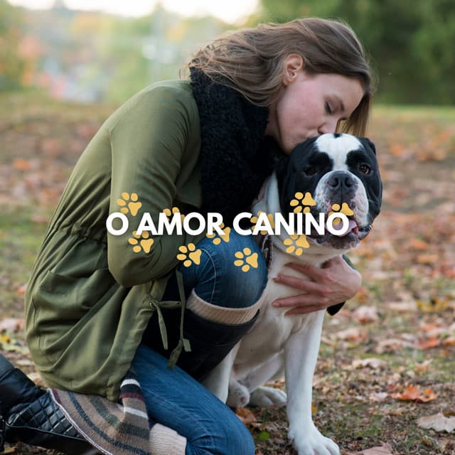 O Amor Canino - Música de Cachorro Calmante