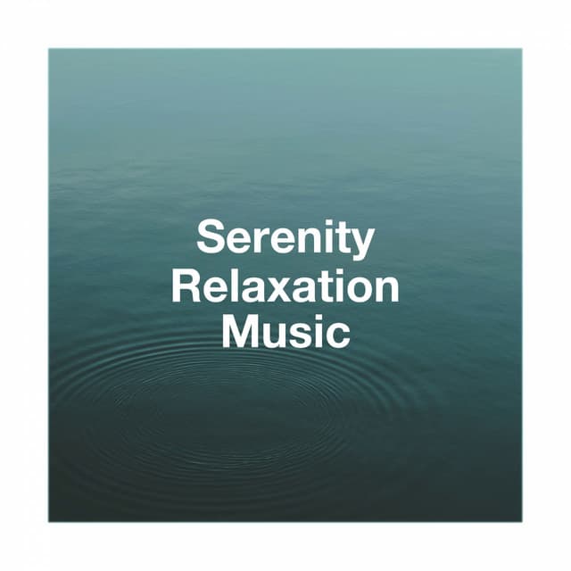 Serenity Relaxation Music - Relaxation Study Music