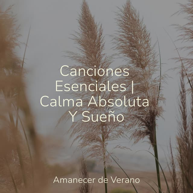 Canciones Esenciales | Calma Absoluta Y Sueño - Yoga Sounds