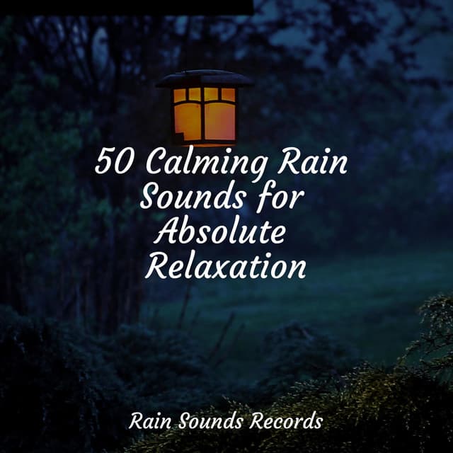 50 Calming Rain Sounds for Absolute Relaxation - Bird Sounds