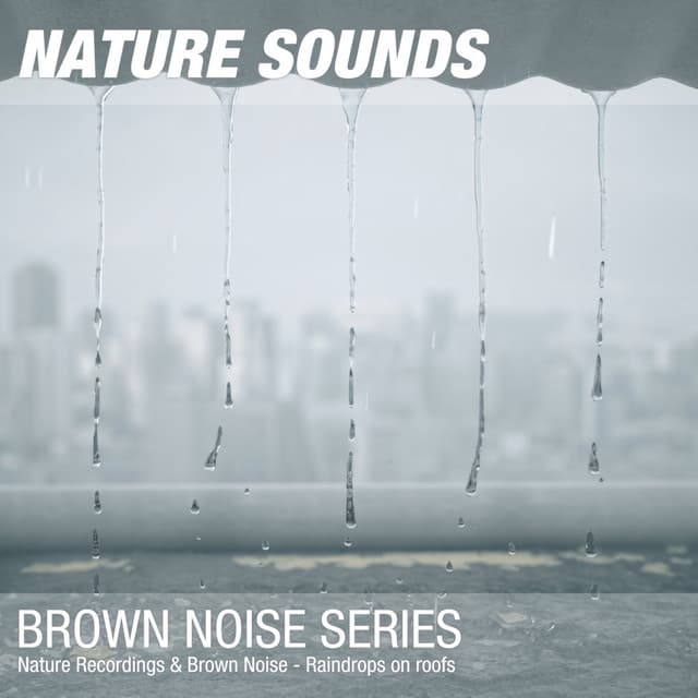 Nature Recordings & Brown Noise - Raindrops on roofs - Nature Noises