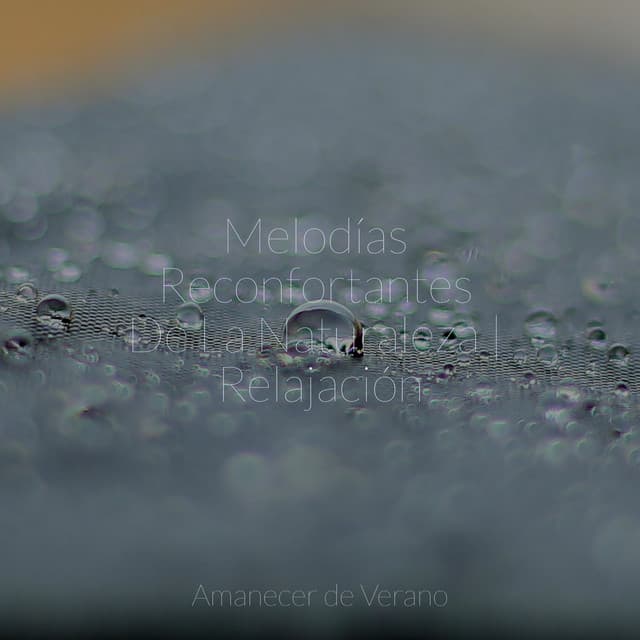 Melodías Reconfortantes De La Naturaleza | Relajación - Ambiente