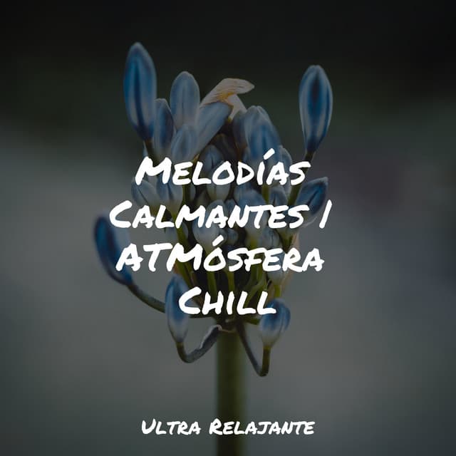Melodías Calmantes | ATMósfera Chill - Sonidos de lluvia para dormir