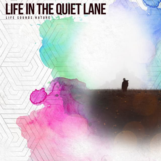 Life in the Quiet Lane - Life Sounds Nature