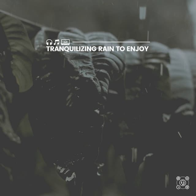 Tranquilizing Rain to Enjoy - Loopable Rain Sounds