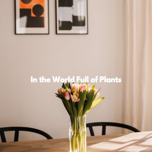 In the World Full of Plants - Night Time Jazz Culture
