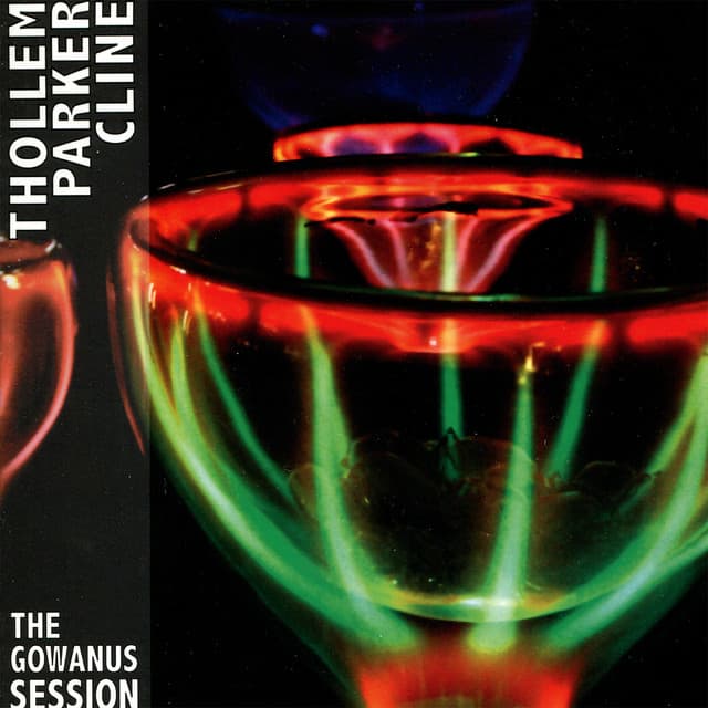 The Gowanus Session - Thollem Mcdonas