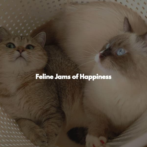 Feline Jams of Happiness - Restaurant Music Lounge