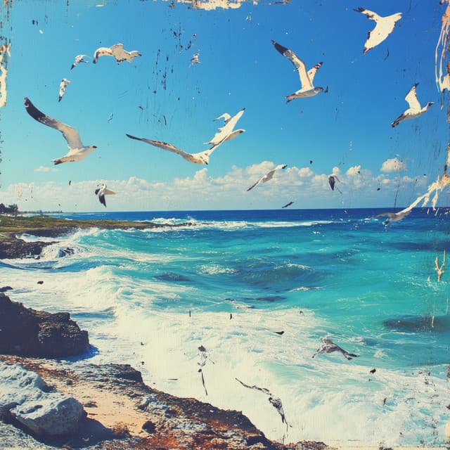 Drømme i Regnvejr - Sound of Nature Library