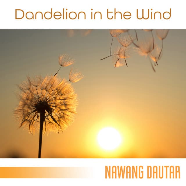 Dandelion in the Wind - Nawang Dautar