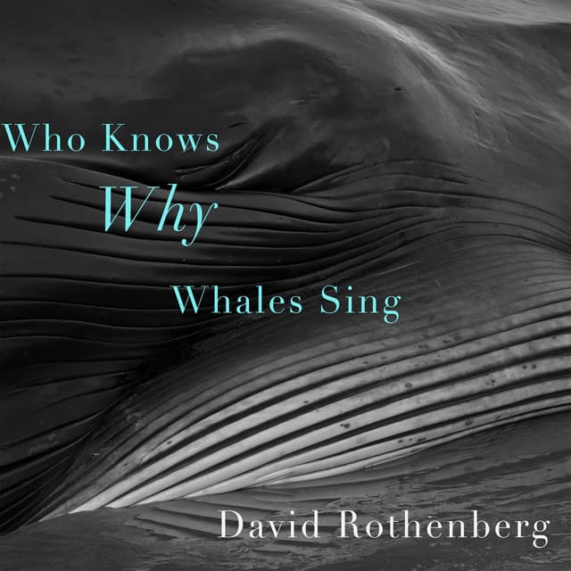 Who Knows Why Whales Sing - David Rothenberg