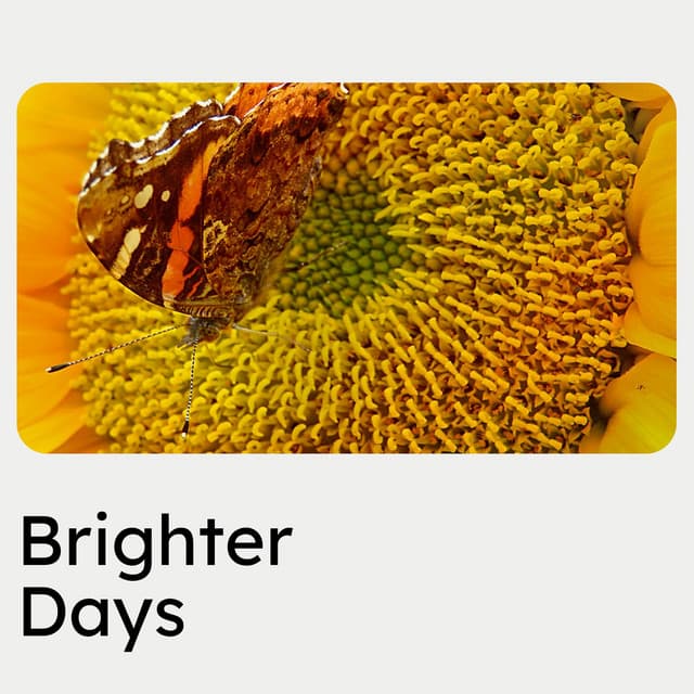 Brighter Days - Cinematic Classical