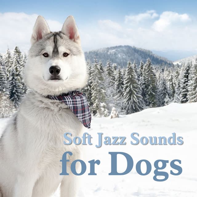 Soft Jazz Sounds for Dogs - Music For Dogs Peace
