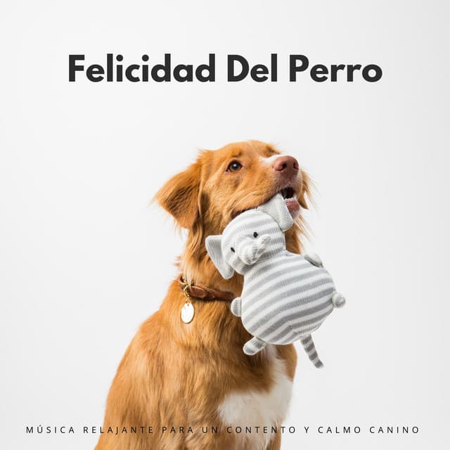 Felicidad Del Perro: Música Relajante Para Un Contento Y Calmo Canino - Serenidad y Armonía