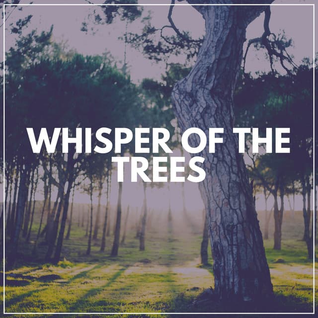 Whisper of the Trees - Calm Music
