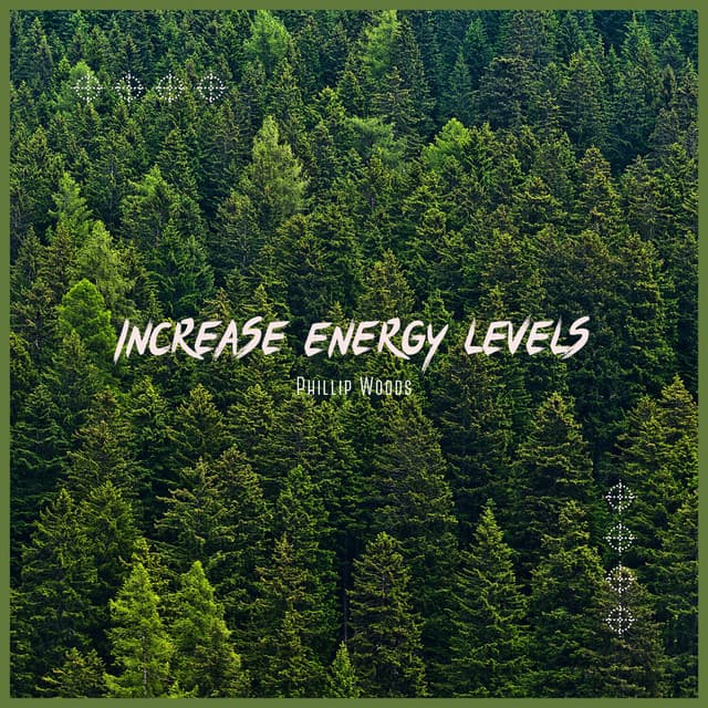 Increase Energy Levels - Everlight