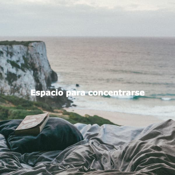 Espacio para concentrarse - Instrumental Study Music