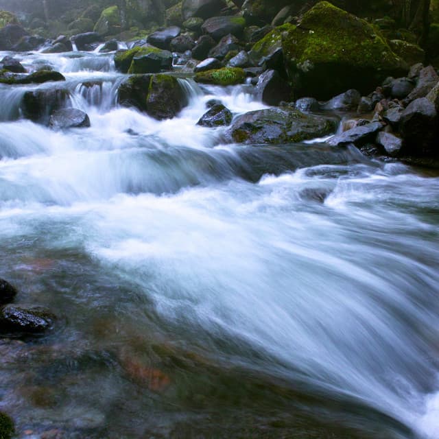 Calm Water: Streamside Meditation with Chorale - Riverfall Science