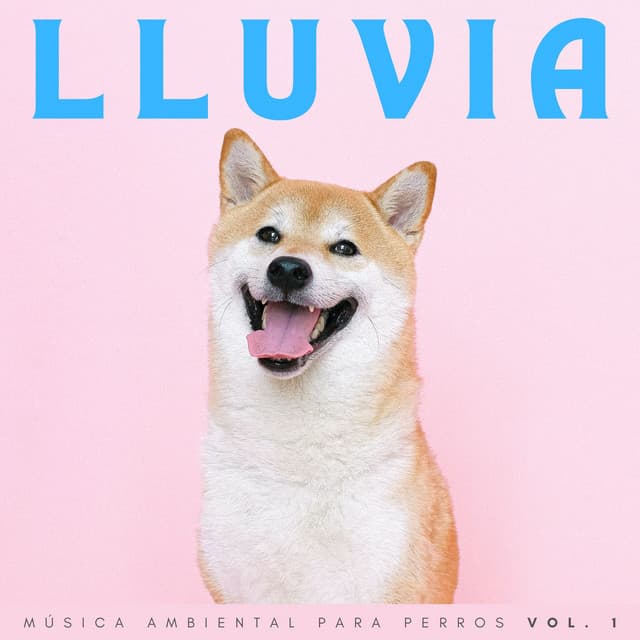 Lluvia: Música Ambiental Para Perros Vol. 1 - Fábrica de Sonidos de Lluvia STHLM