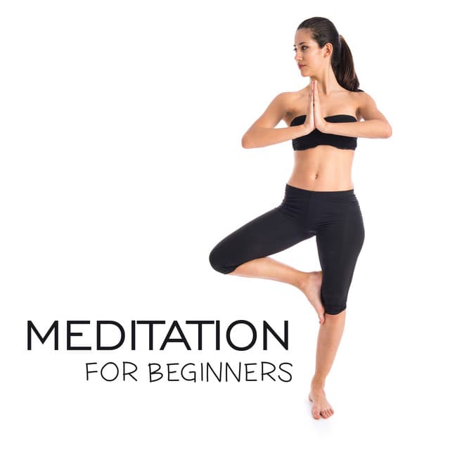Meditation for Beginners - Buddha Lounge Ensemble