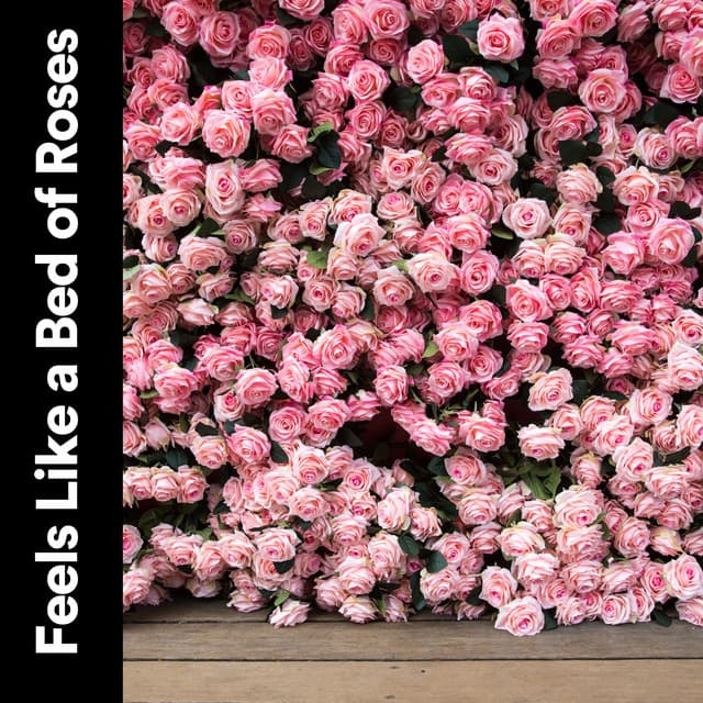 Feels Like a Bed of Roses - Pink Noise Babies