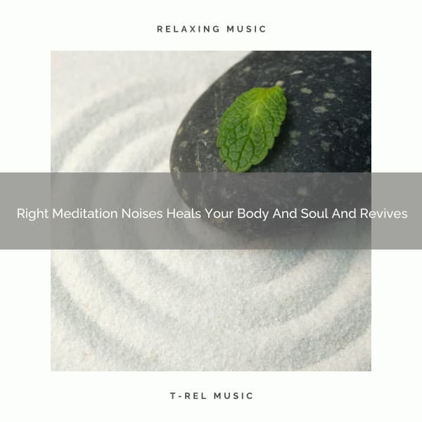 Right Meditation Noises Heals Your Body And Soul And Revives - Timeless Relax
