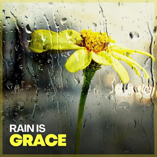 Rain Is Grace - Relaxing Rain