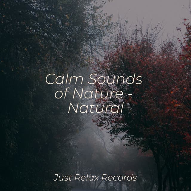 Calm Sounds of Nature - Natural - Naturaleza Sonidos