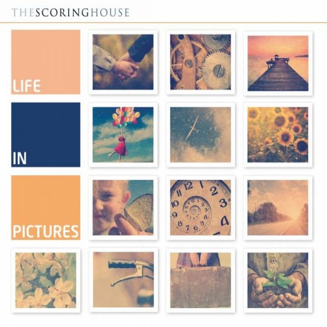 Life in Pictures - Alexander Gray