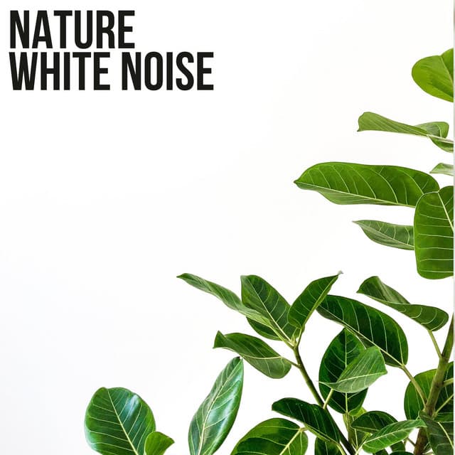 Nature White Noise - White Noise Research