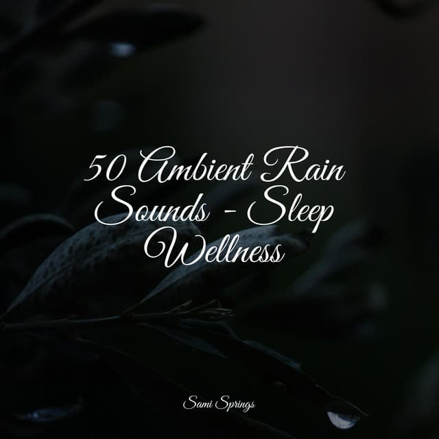 50 Ambient Rain Sounds - Sleep Wellness - Deep Focus