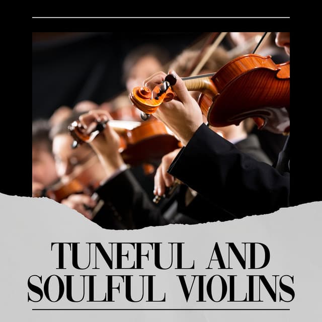Tuneful and Soulful Violins - Restful Music Consort