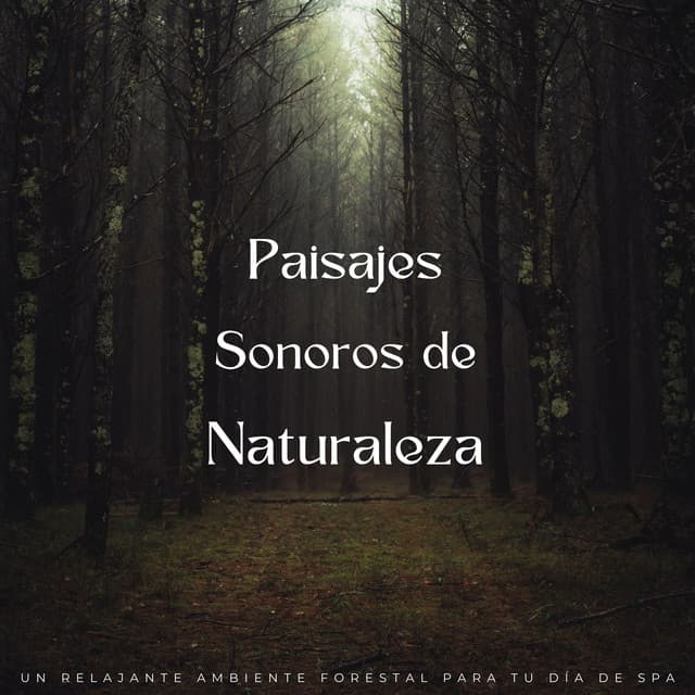 Paipaisajes Sonoros De Naturaleza: Un Relajante Ambiente Forestal Para Tu Día De Spa - Sonidos épicos de la naturaleza