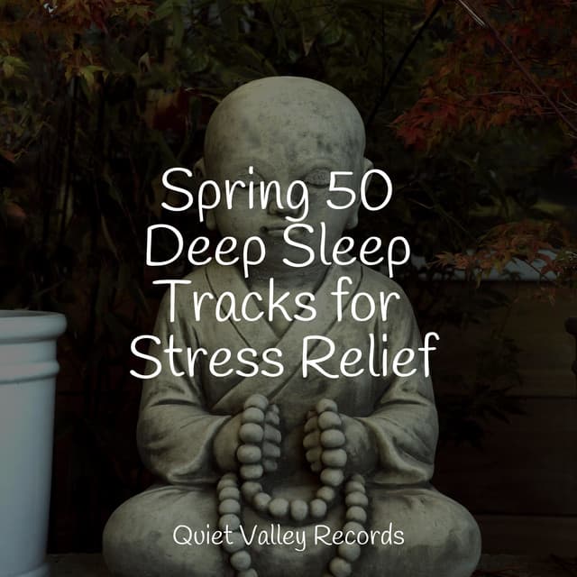 Spring 50 Deep Sleep Tracks for Stress Relief - Sample Rain Library