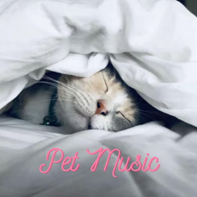 Relaxing Music for Pets - Pet Music