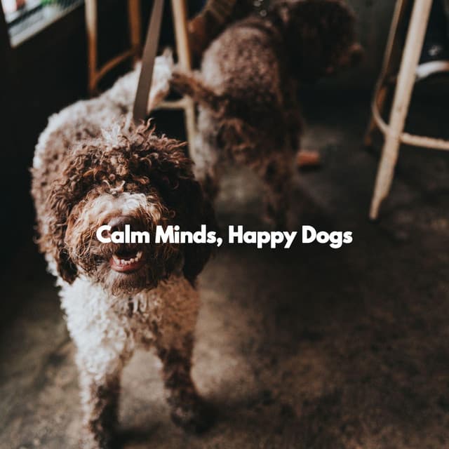 Calm Minds, Happy Dogs - Productivity Music