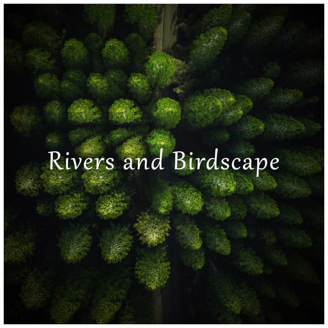 Rivers and Birdscape - Reiki Tribe