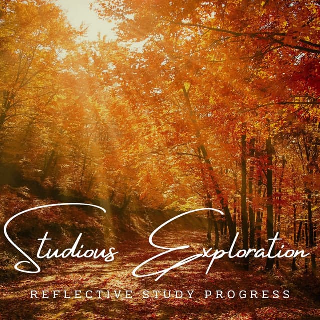 MindfulAcuity: Meditative Melodies for Studious Exploration - Afternoon Meditation Music Vibes