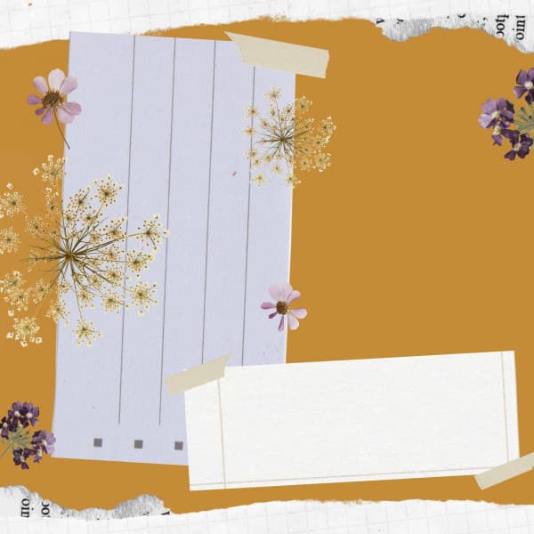 Remarkable Bossa Guitar Trio - Ambiance for Cooling Down - Lunch Time Jazz