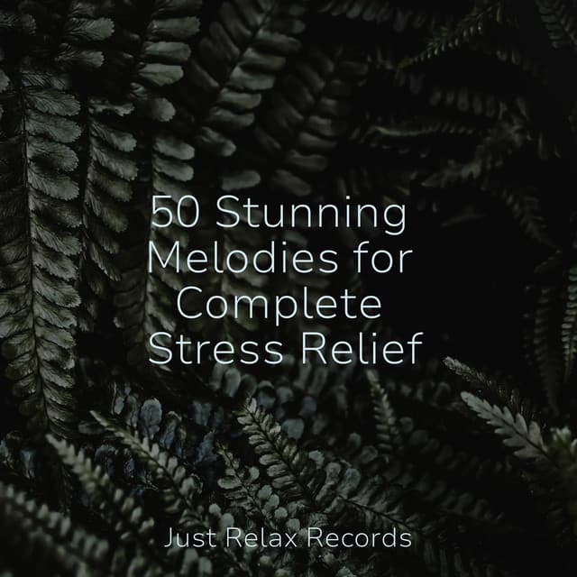 50 Stunning Melodies for Complete Stress Relief - Chinese Relaxation and Meditation