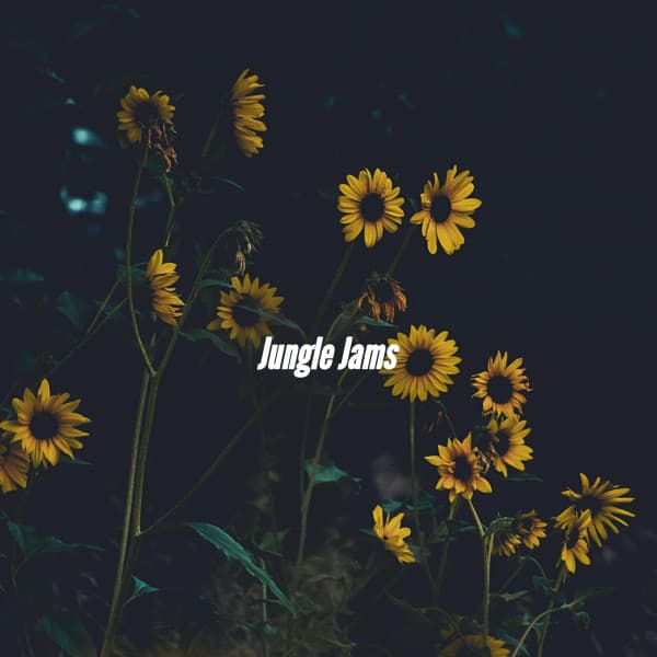 Jungle Jams - Good Morning Jazz