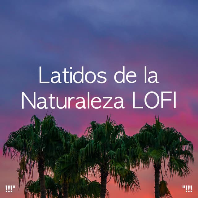 !!!" LOFI Nature Beats "!!! - Chillhop Music