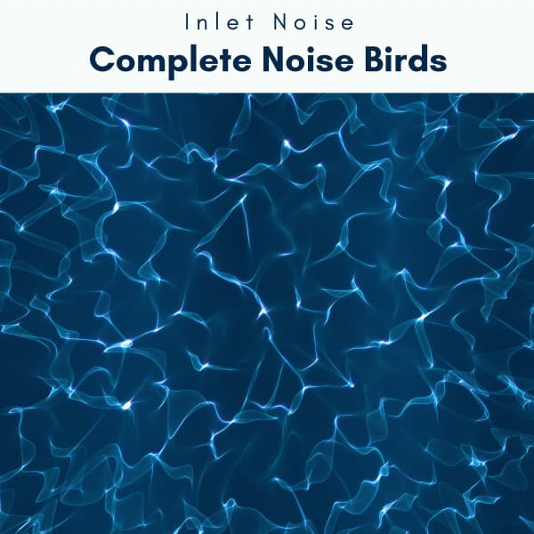 2 0 2 2 Complete Noise Birds - Inlet Noise