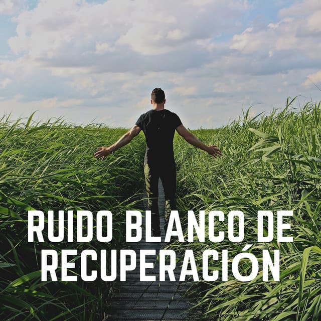 Ruido Blanco de Recuperación - Sonidos de ruido blanco