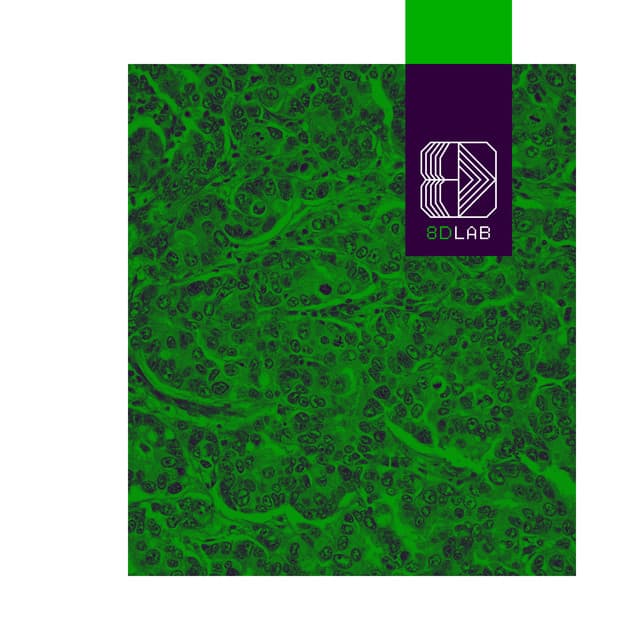 Aguas Tranquilas - 8D Lab - Música de Meditación