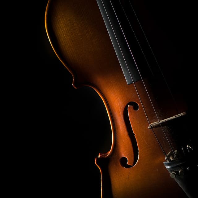 Orchestra Calm: Evening Relaxation Music - Jose Garcia