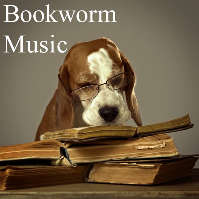 Book Worm Music - Musica Para Estudiar Academy