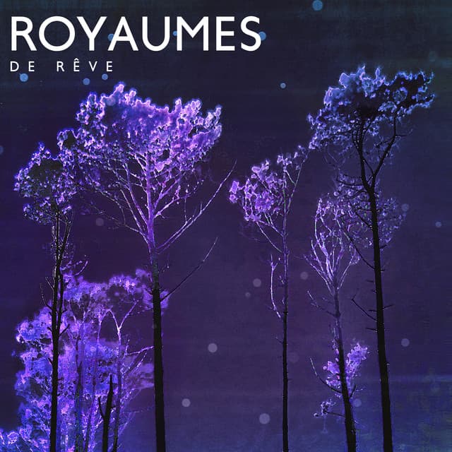 Royaumes de rêve - Zone de la Musique Relaxante